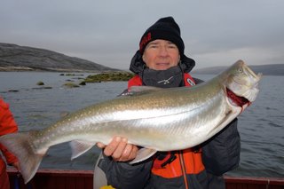 giant-arctic-char